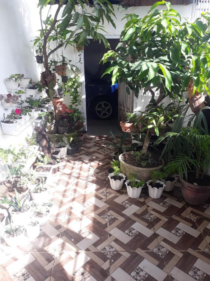 Bumimi Homestay Painan Exterior foto