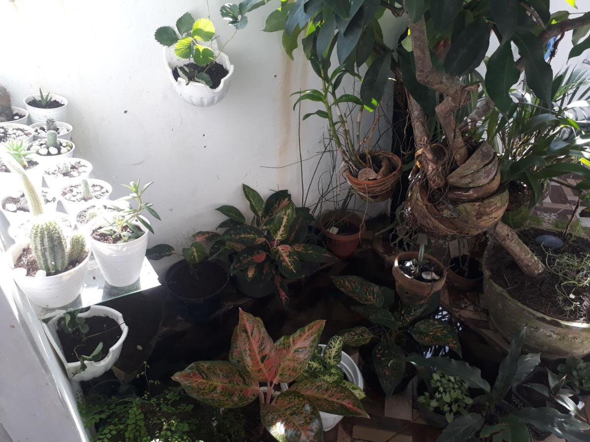 Bumimi Homestay Painan Exterior foto